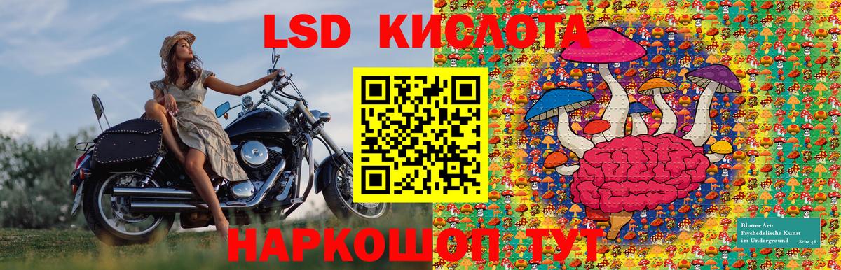 как найти наркотики  Марки N-bome  Заволжье  Вход с VPN  Марки N-bome 1,5мг  Марки N-bome 1,5мг 