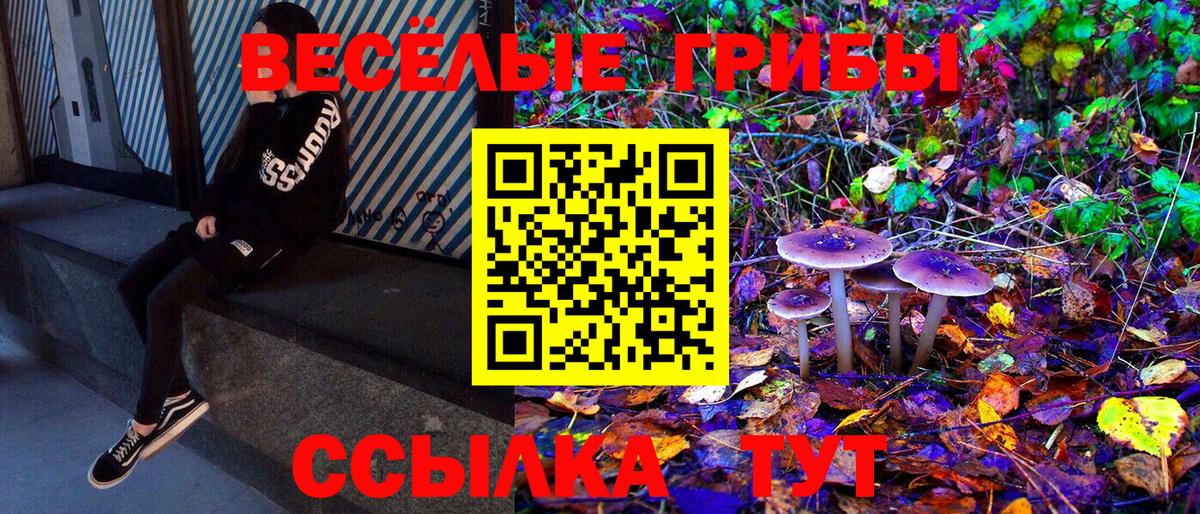 Псилоцибиновые грибы прущие грибы  Вход с VPN  Заволжье  Галлюциногенные грибы мухоморы 