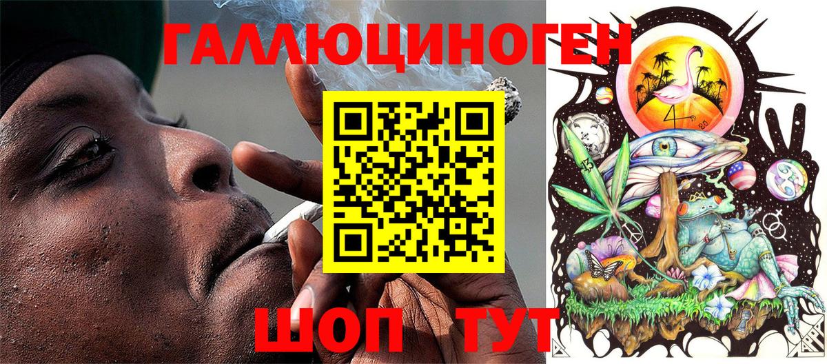 Галлюциногенные грибы Psilocybine cubensis Заволжье